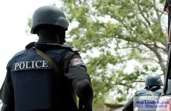 Bauchi: Police arrests 25 year-old with head of own son